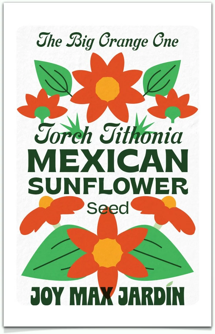 Mexican Sunflower “Torch” Tithonia — Joy Max Jardín